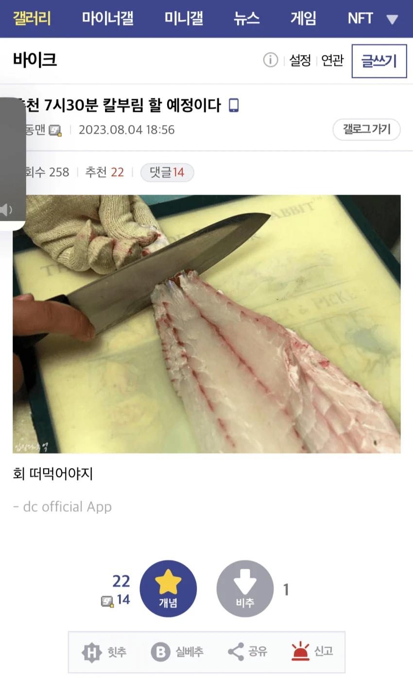 image.png 춘천 칼부림남 구속 후기 올라옴 ㅋㅋㅋㅋ