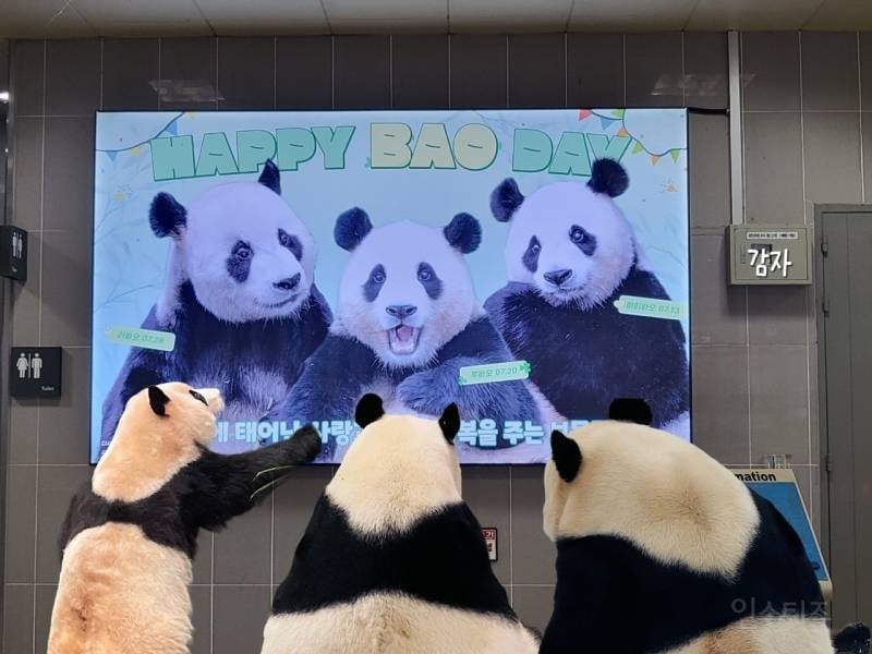 지하철 생일 광고를 보러온 바오가족.jpg | 인스티즈