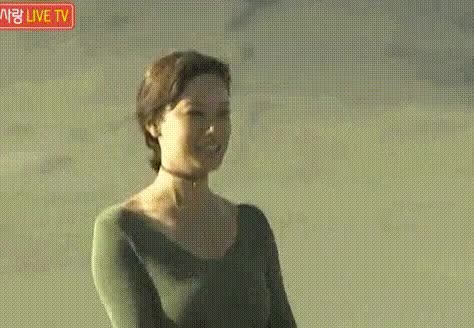 33.gif