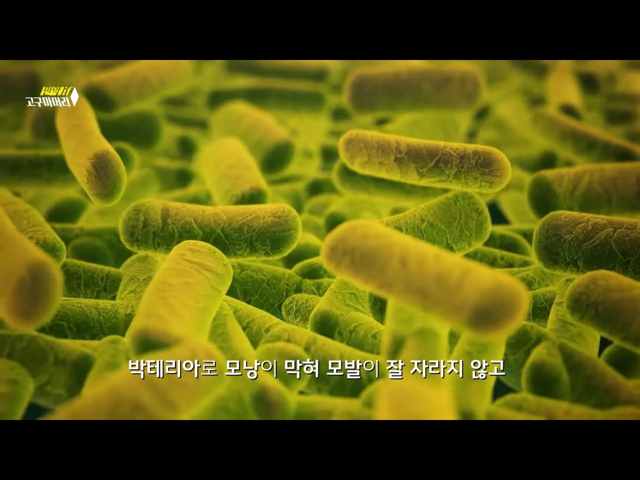24post.co.kr_003.png