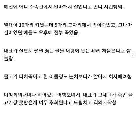 image(2).jpg 신입이 어항에 펄펄끓는 물 부음