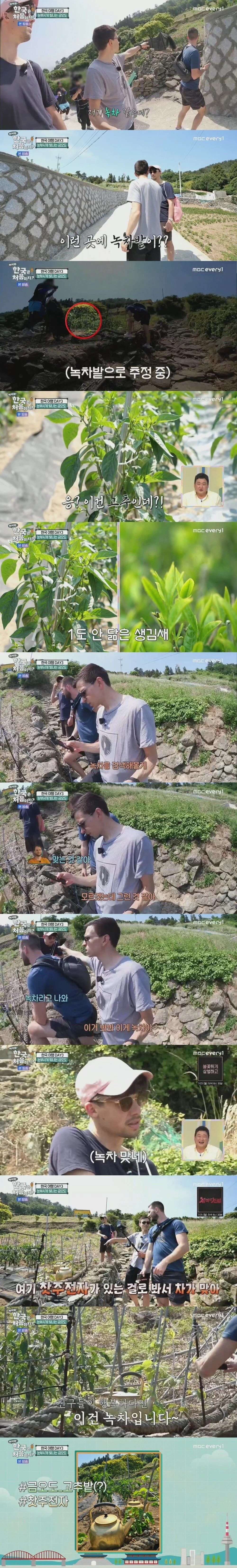 Internet_20250115_100432_7.webp.ren.jpg 한국 여행와서 오해만 쌓고 돌아가는 독일인들 ㄷㄷ...jpg