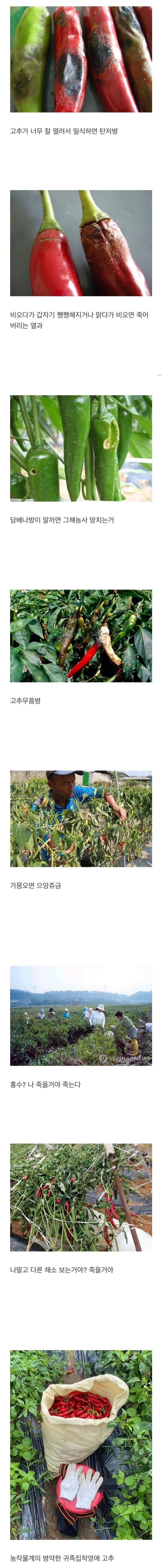 1693960858389.png.jpg
