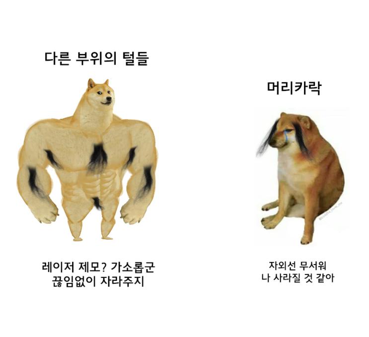 1.png.jpg