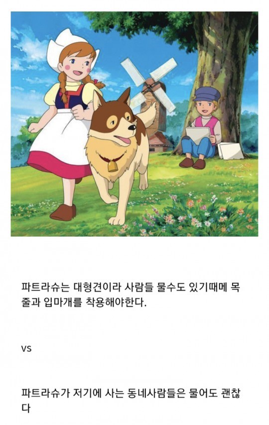 대형견 입마개.jpg