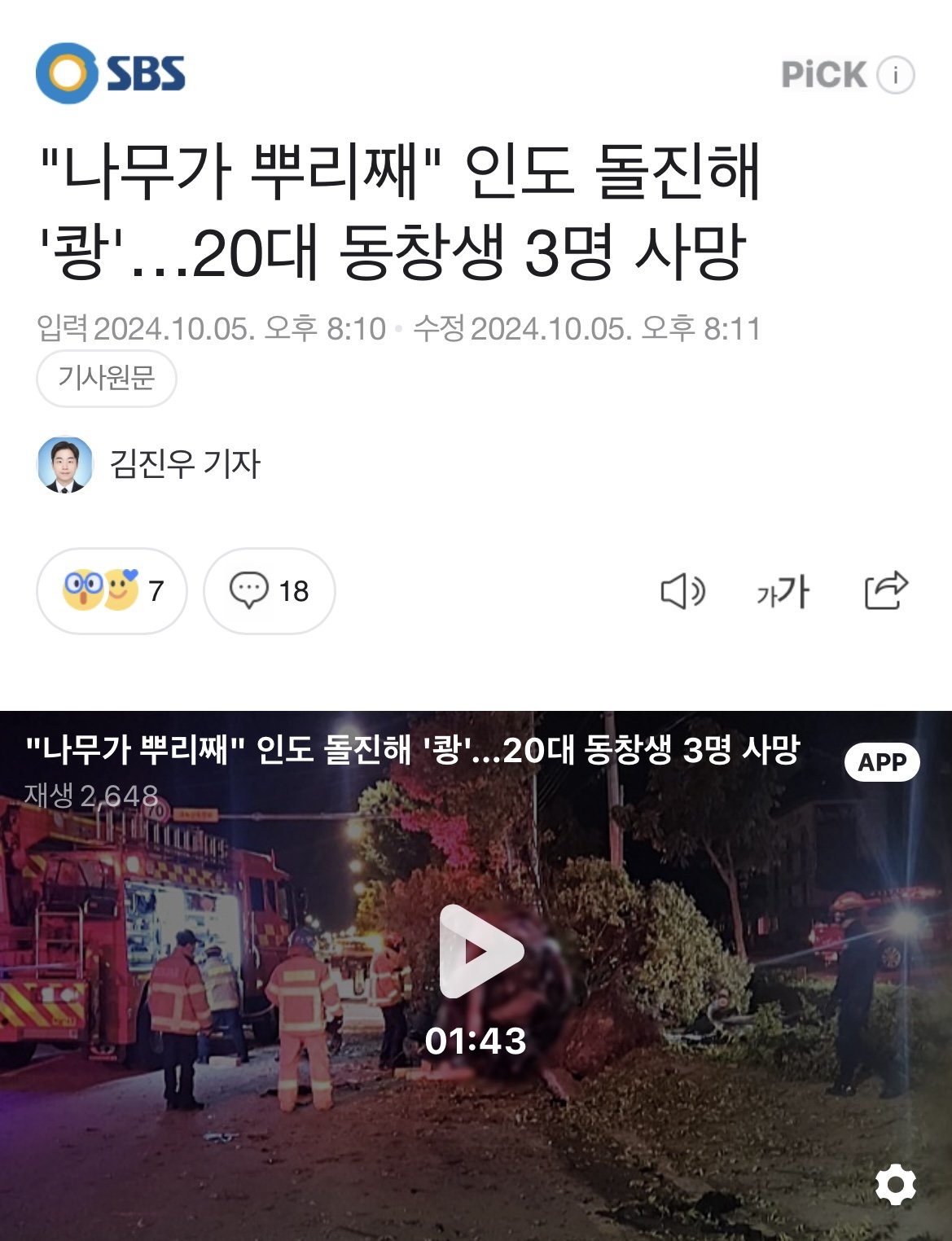 image.jpeg "나무가 뿌리째" 인도 돌진해 \'쾅\'…20대 동창생 3명 사망