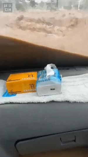 gifsf.co_0002.gif