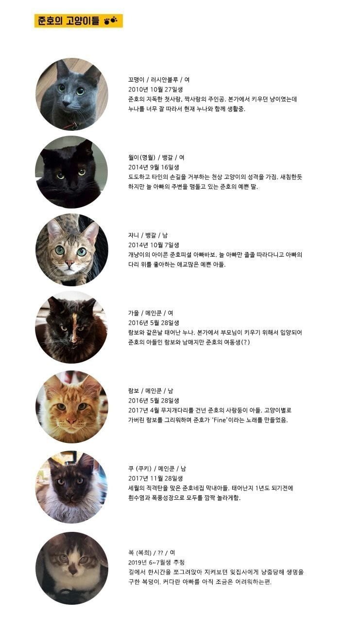 품종묘 키우는 연예인에게 뿔난 여초카페