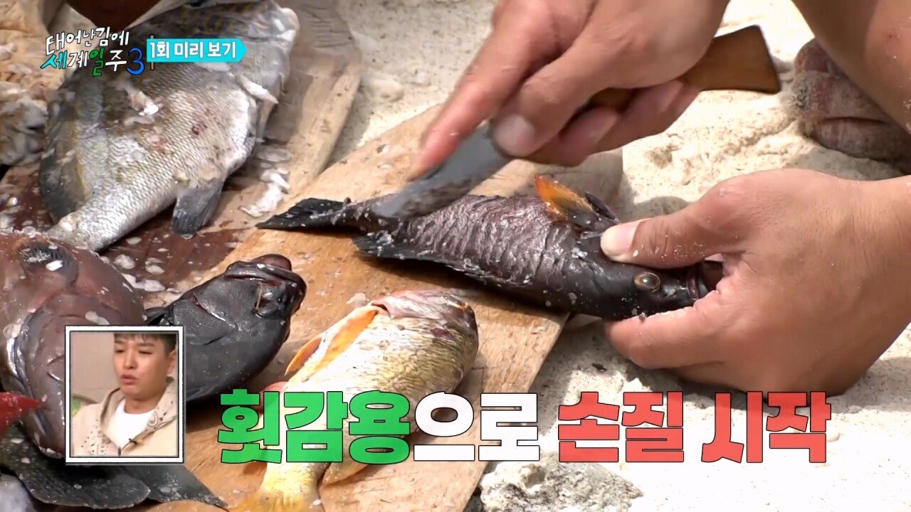 김짤.com_002.jpg