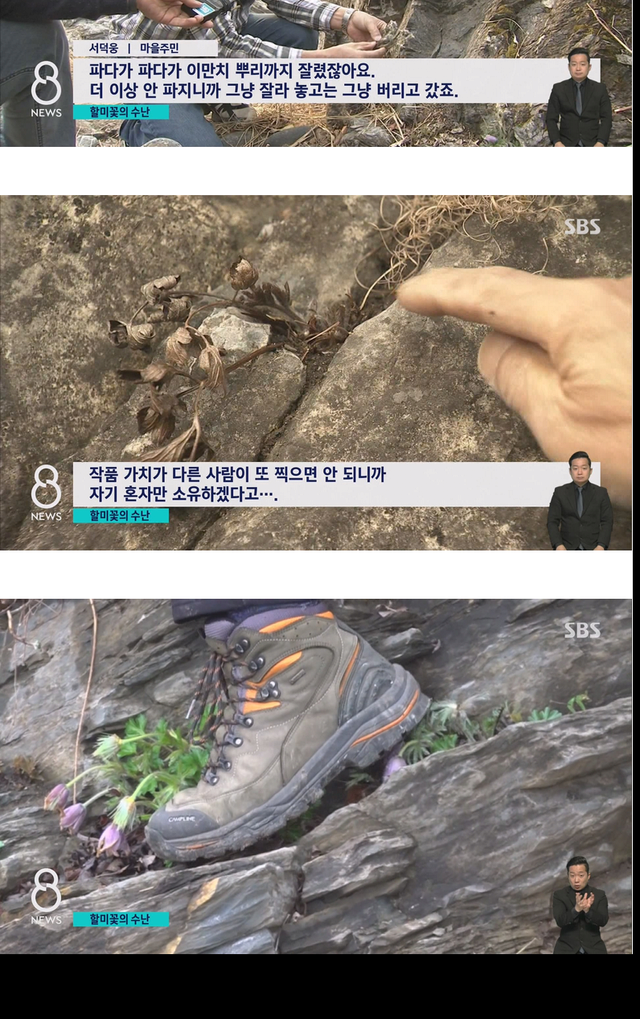 김짤.com_004.png