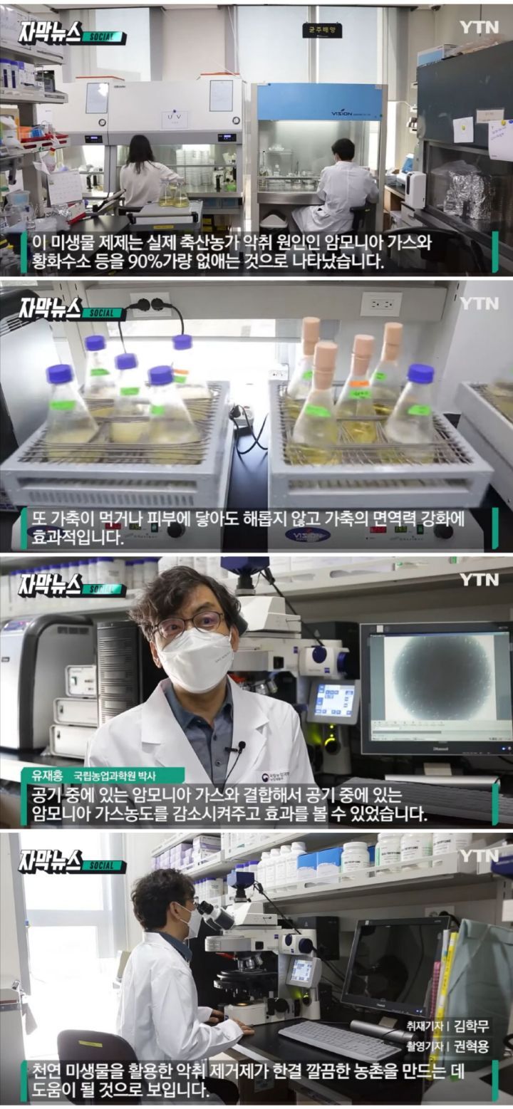 농촌진흥청 연구팀이 개발한 '특허 미생물' - 꾸르