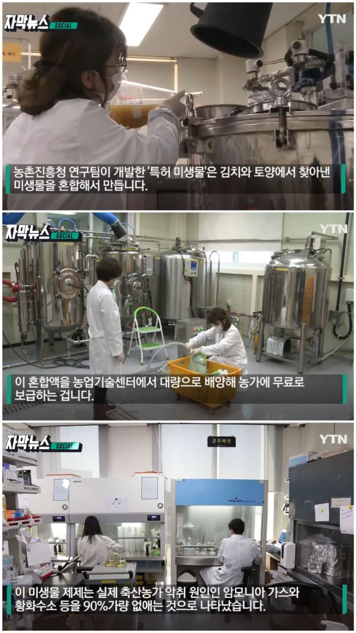 농촌진흥청 연구팀이 개발한 '특허 미생물' - 꾸르