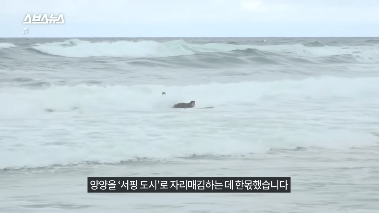 양양은 어떻게 국내 최고 핫플이 됐을까_ PD가 직접 가봄 _ 스브스뉴스 4-56 screenshot.png 요즘 양양이 핫해진 이유