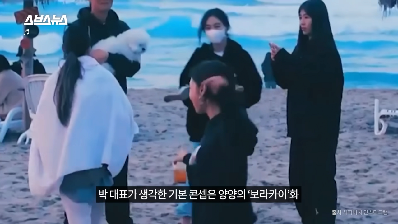 양양은 어떻게 국내 최고 핫플이 됐을까_ PD가 직접 가봄 _ 스브스뉴스 3-59 screenshot.png 요즘 양양이 핫해진 이유