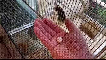 1648044897108.gif