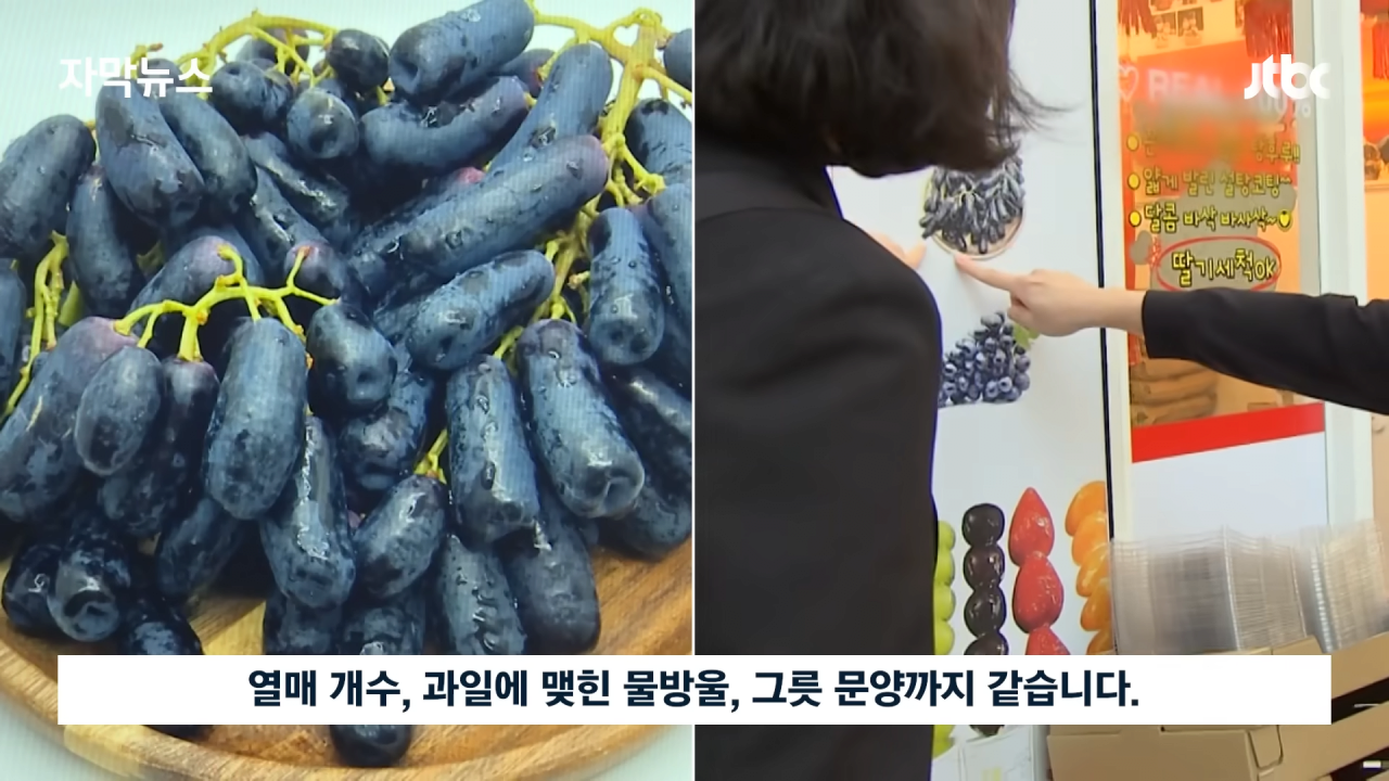 [자막뉴스] 국내 유명 탕후루 업체가 이런 짓을…참다못해 증거 내밀자 _ JTBC News 0-24 screenshot.png 국내 유명 탕후루 업체가 이런 짓을…참다못해 증거 내밀자