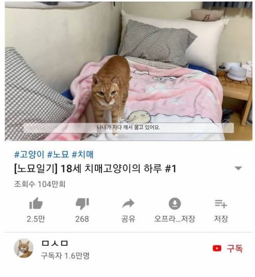 6dfcc3787f23e47177a536d22cd5a376_FFrlHmZcqpsh9dUXUlMZDn.jpg