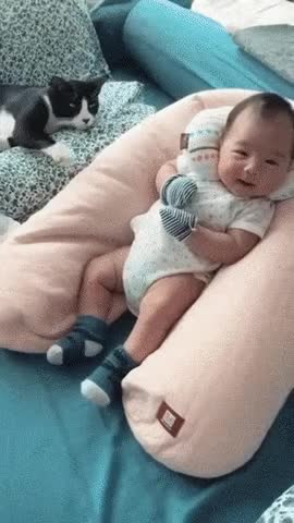 2860AE1A-38CF-4929-8DC2-1BF298545457.gif