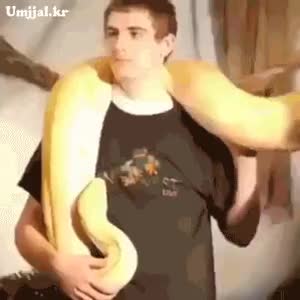 195e1b0a39fe23073b0f1e216a4945c51d2c2ace