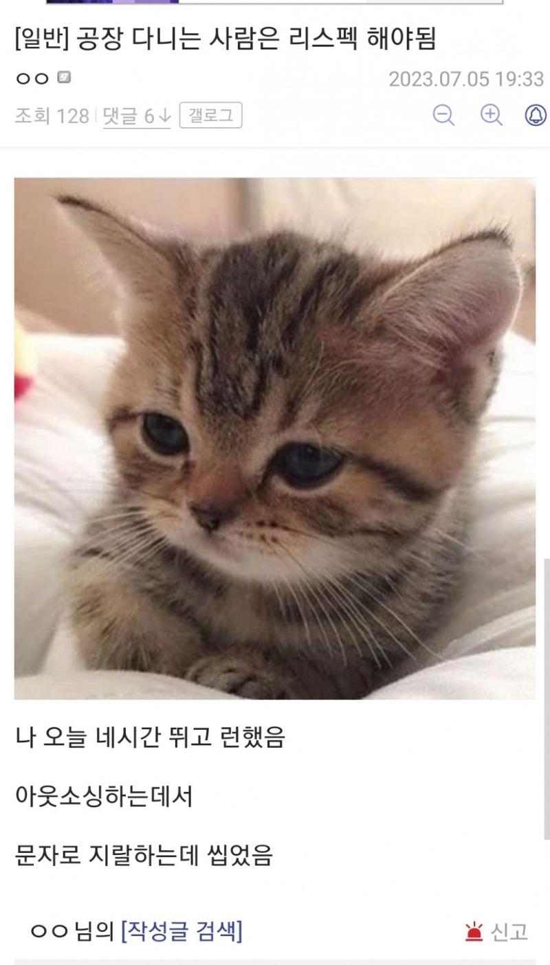 AAwc1688633398_76948082.jpg 요즘 젊은 백수들은 염치가 없다