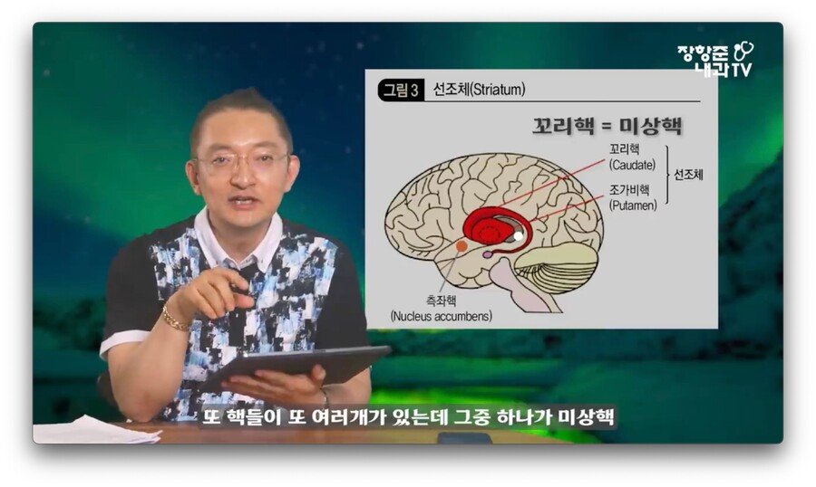 야동 시청시간에 비례해서 뇌가 쪼그라든다는 연구 결과.jpg (2).jpg