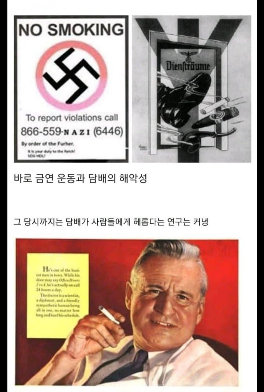 16928545100614.jpg