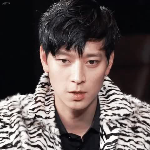 08.gif