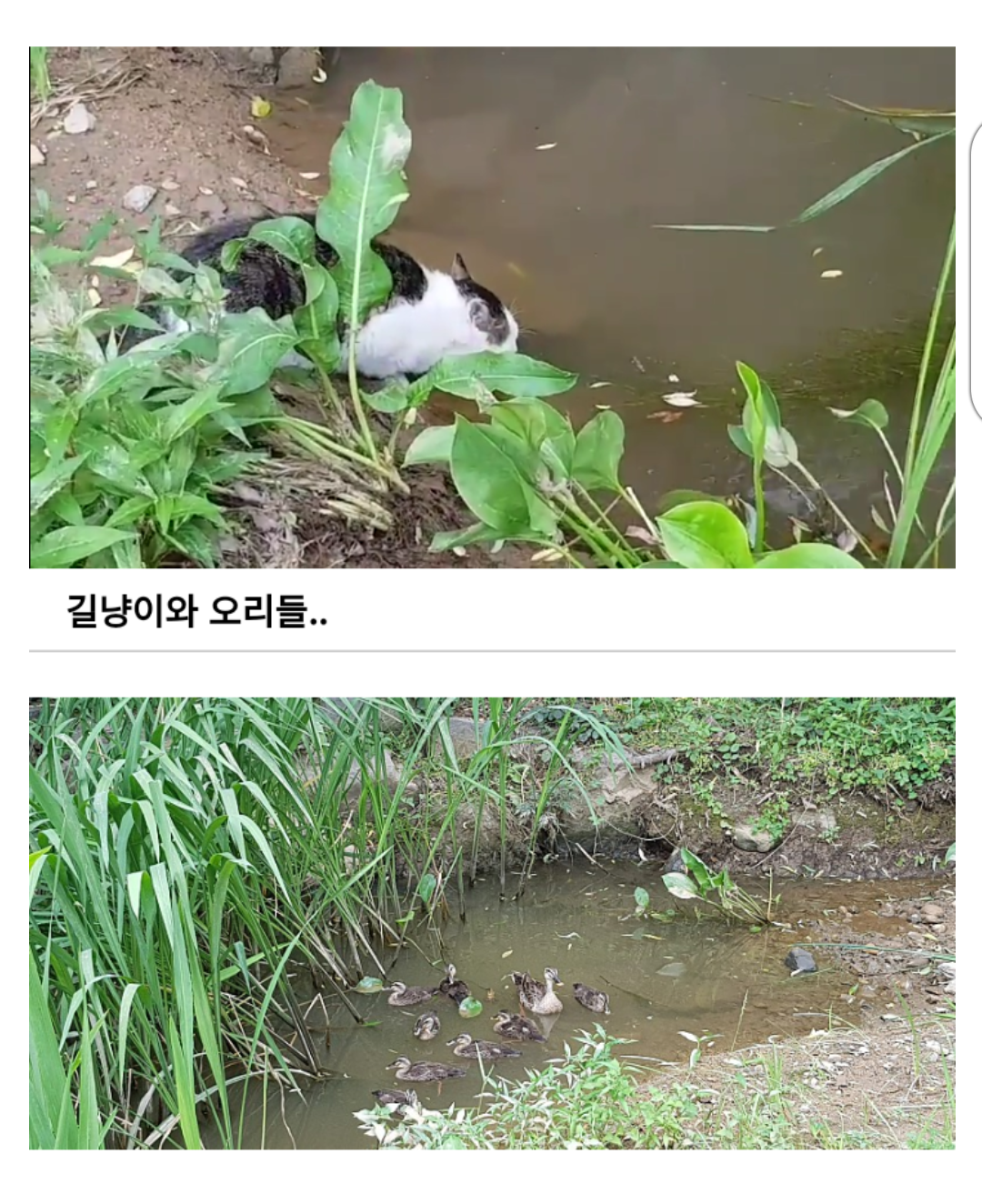 24post.co.kr_003.png