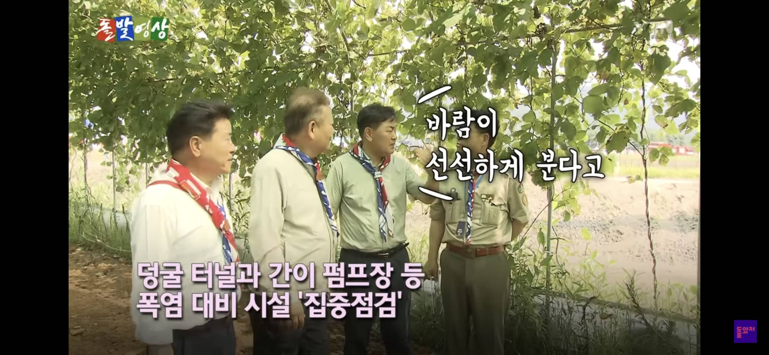 리얼 생존 게임 (잼버리에서 온열환자 발생한 이유가 ”K pop 보면서 즐거워서