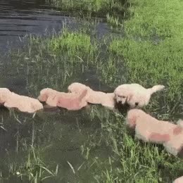 77hi7gm.gif