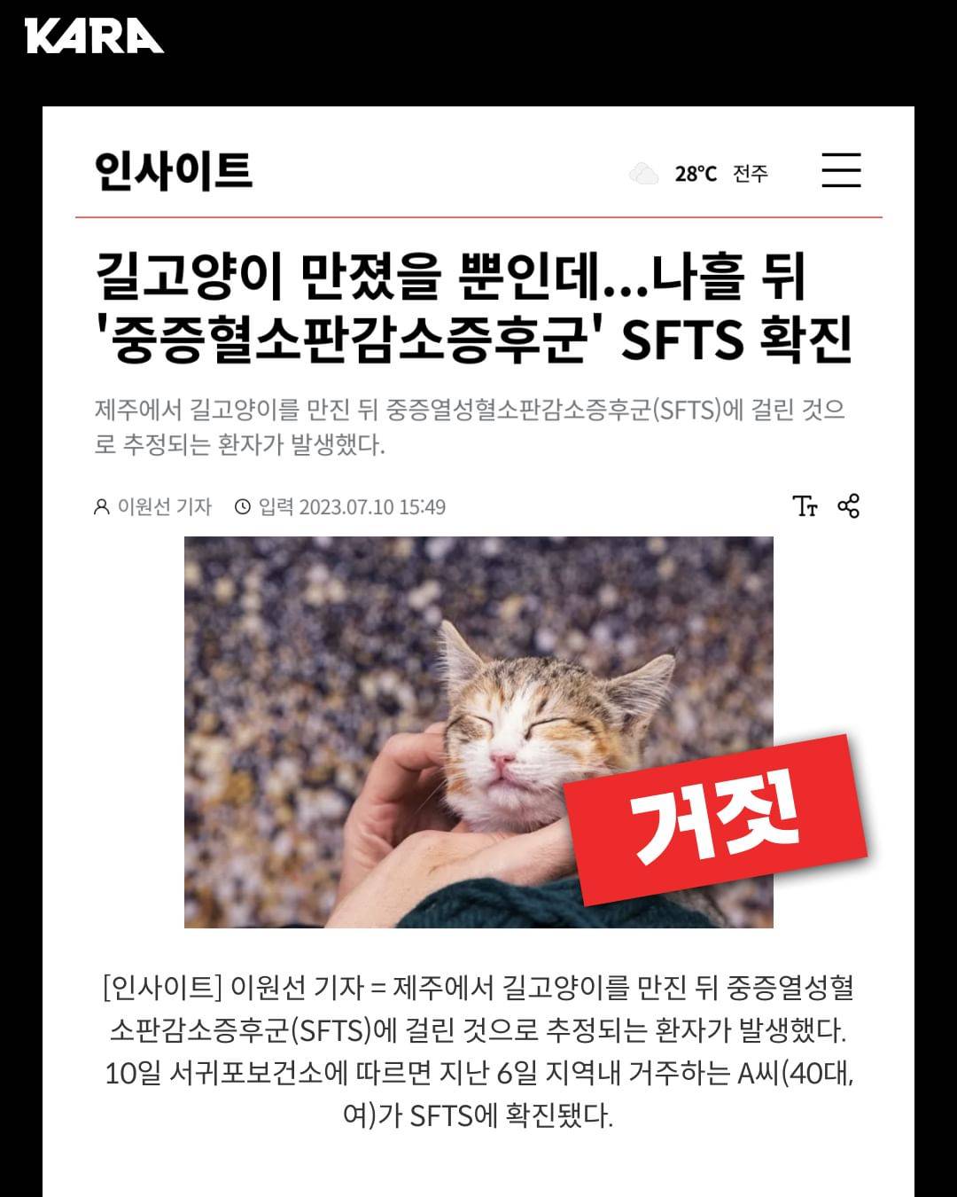 길고양이를 단순히 만진다고 SFTS에 감염되지 않습니다 | 인스티즈