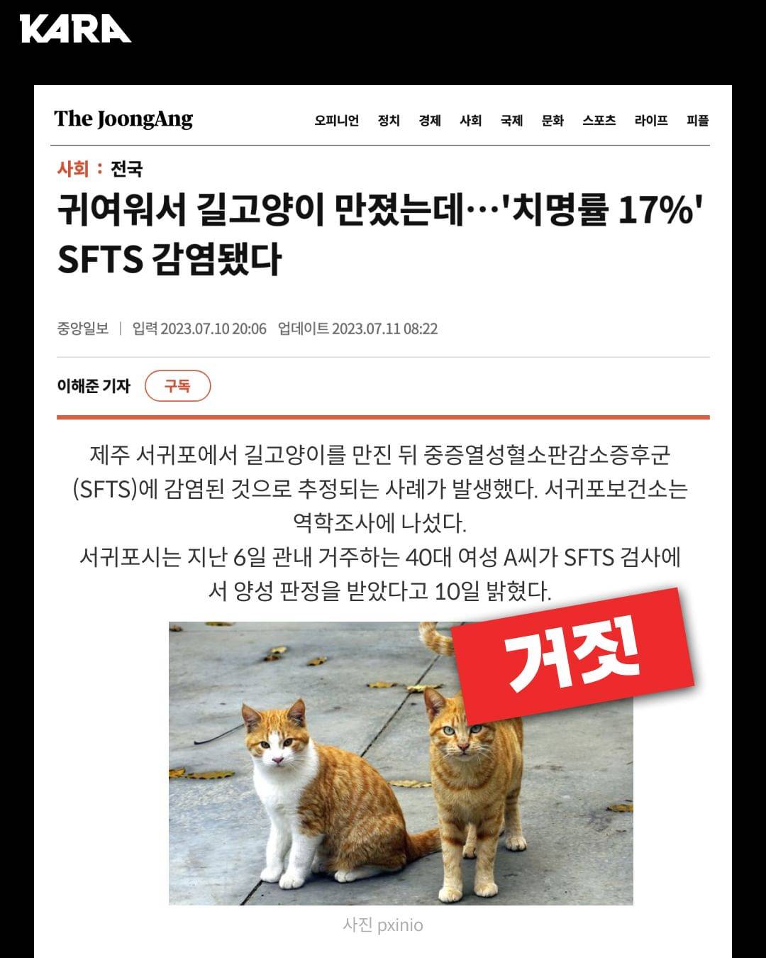 길고양이를 단순히 만진다고 SFTS에 감염되지 않습니다 | 인스티즈