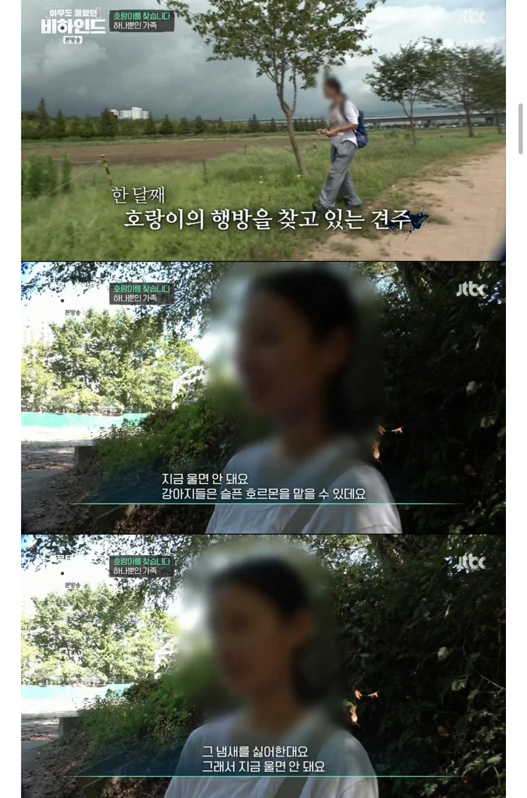 호랑이견주 과거 JTBC 방송내역 (3)