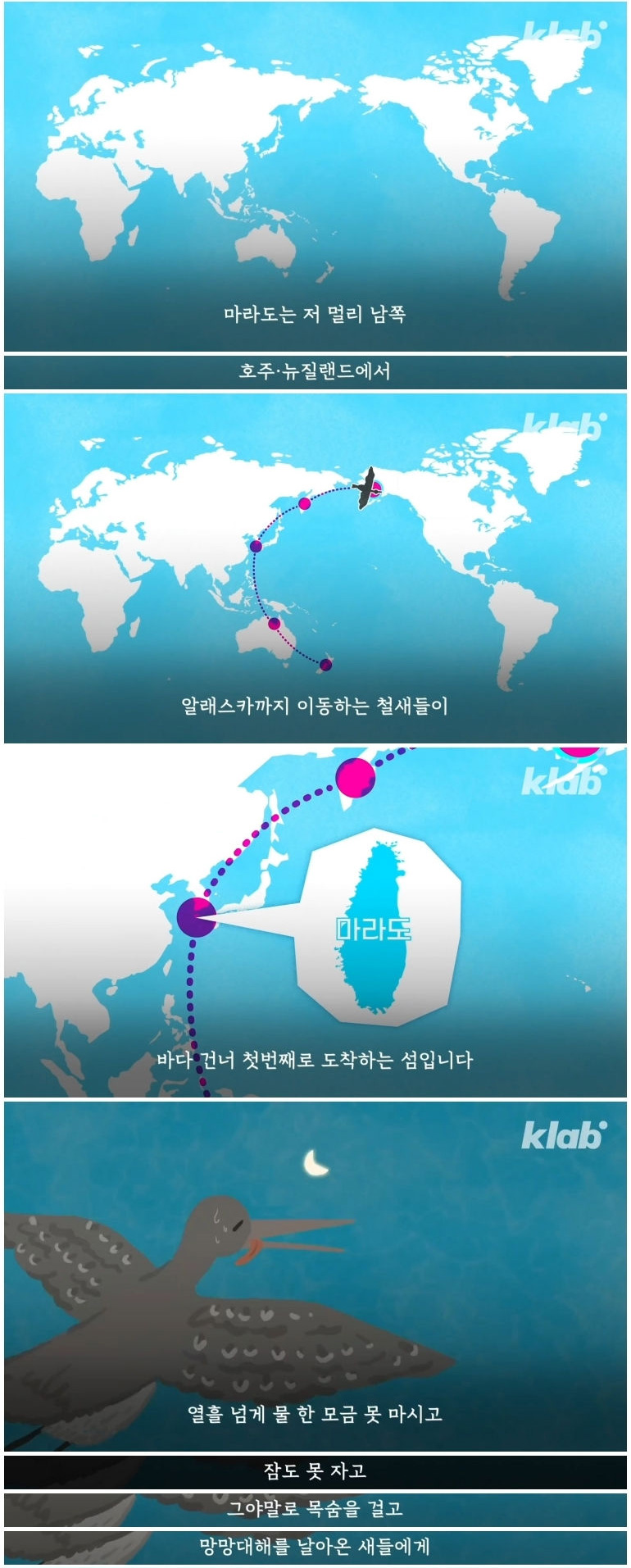 마라도 고양이들이 목도리를 하게 된 까닭 - 꾸르