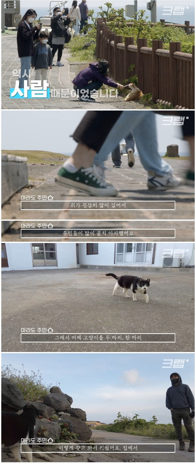 마라도 고양이들이 목도리를 하게 된 까닭 - 꾸르