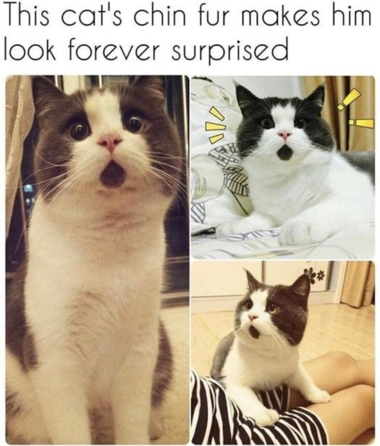 1.jpeg