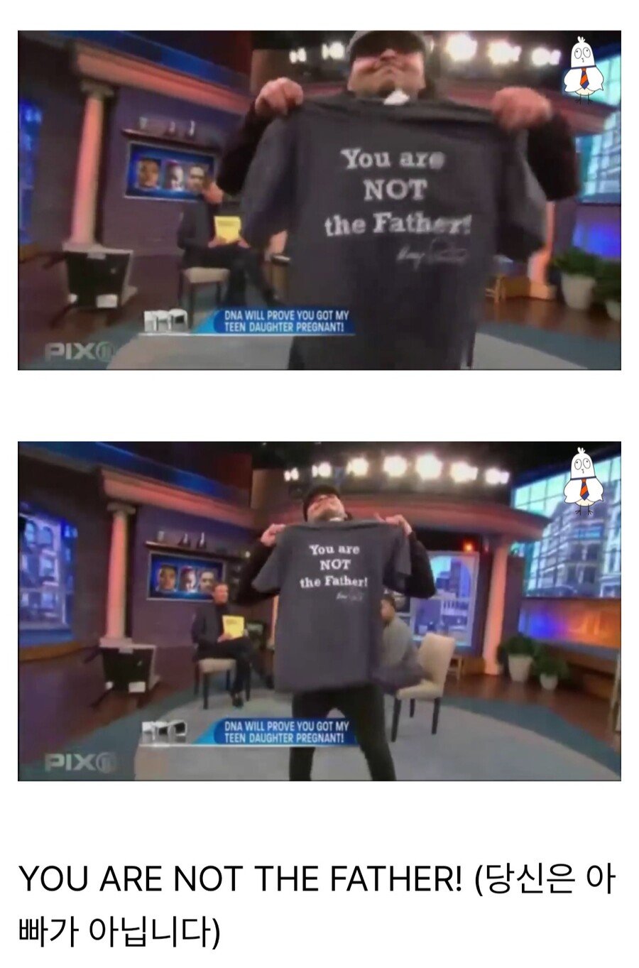 6.jpg 친자확인 프로그램 쇼 레전드
