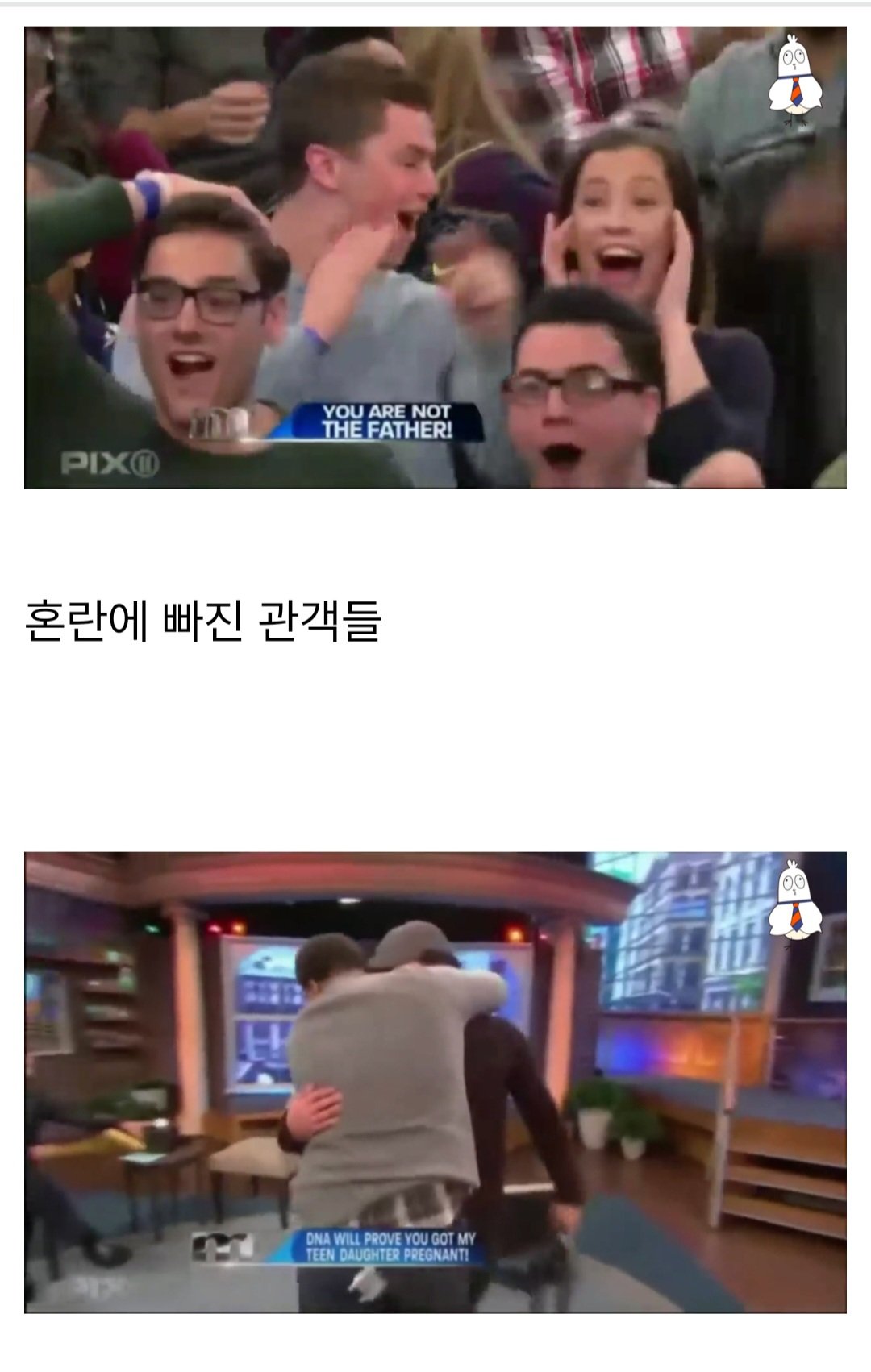 10.jpg 친자확인 프로그램 쇼 레전드