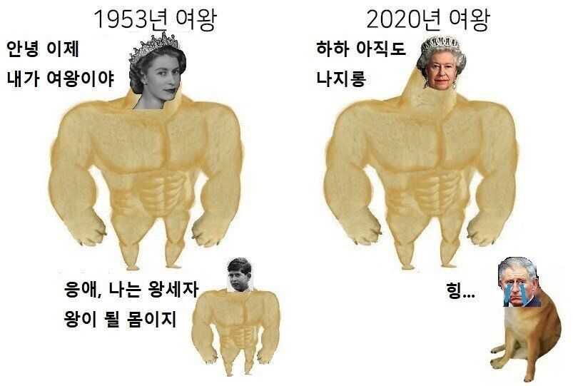 0032f1da5fd2e4a5cf9f0bee490cdfa0.jpeg