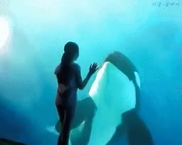 다운로드.gif