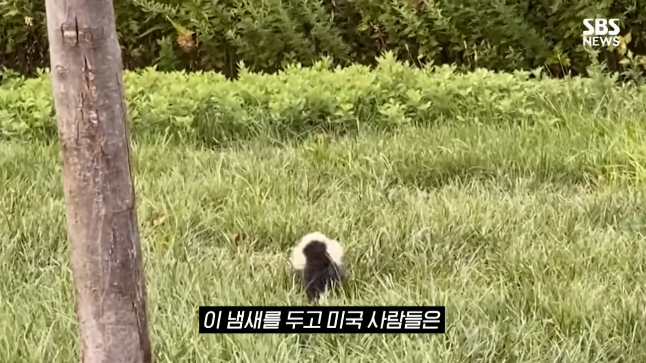 s005.png