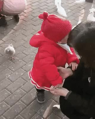 3.gif