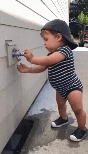 6.gif