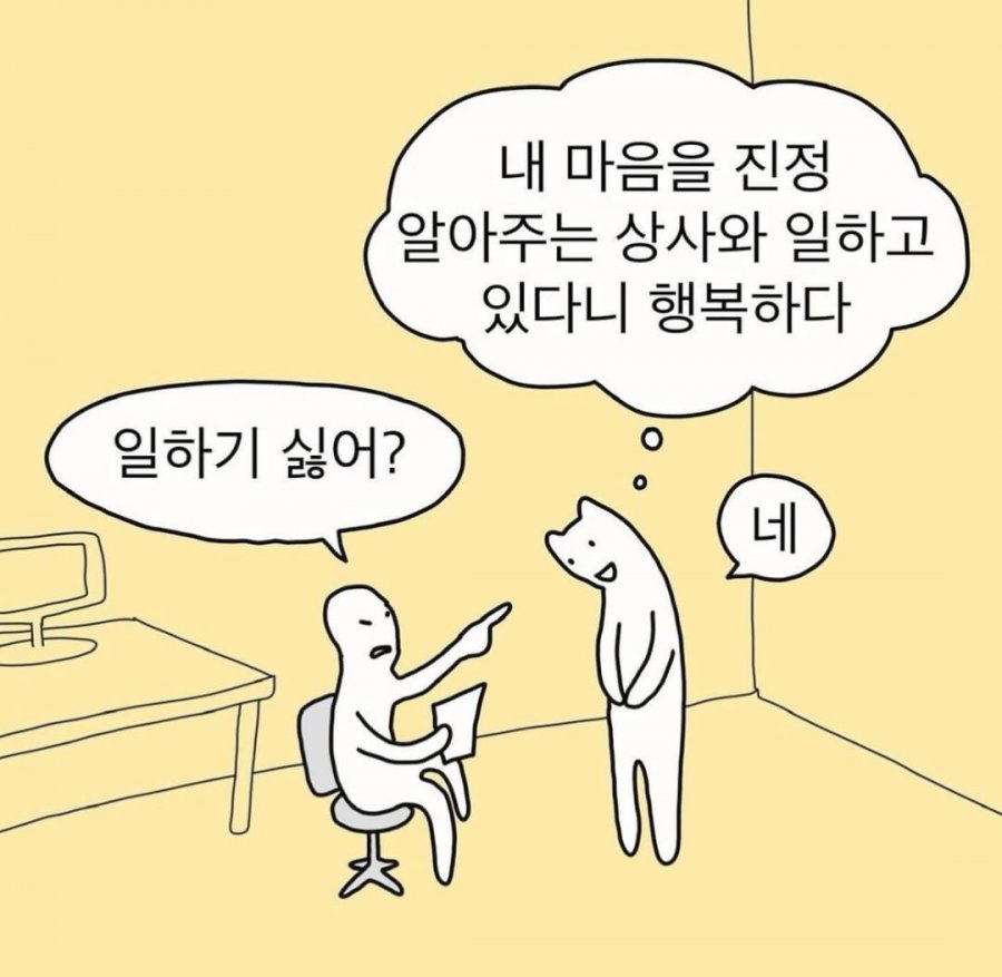일하기 싫어? - 스퀘어 - 덕질더쿠 : 900w_20250213105713_MzRIcNq7N9.jpg