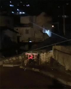 singlebungle1472-20210804-083036-000.gif
