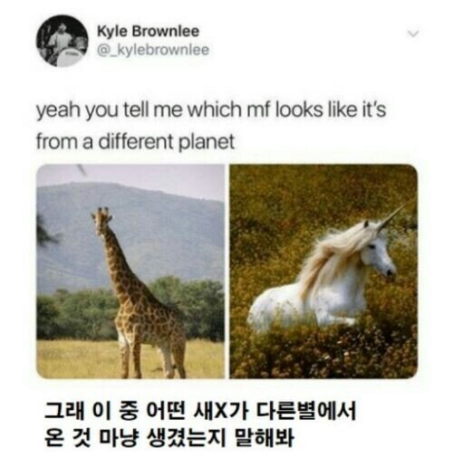 4d199067b34e7a6587a73e3d08a5b315.jpeg