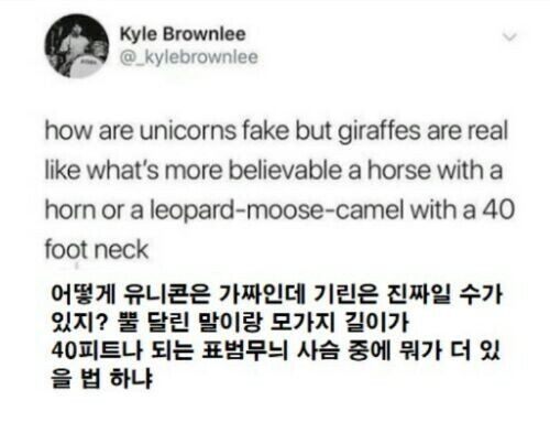 99b983892094b5c6d2fc3736e15da7d1 (3).jpeg