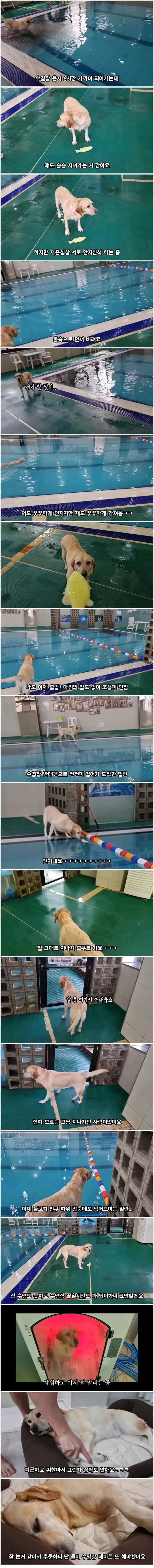 image.png.jpg