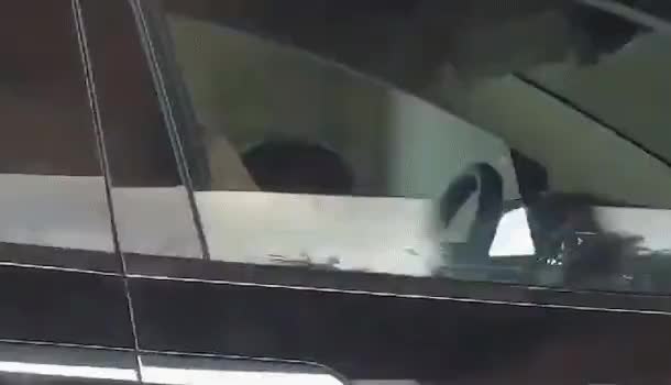 SSI_20190910140041_V.gif
