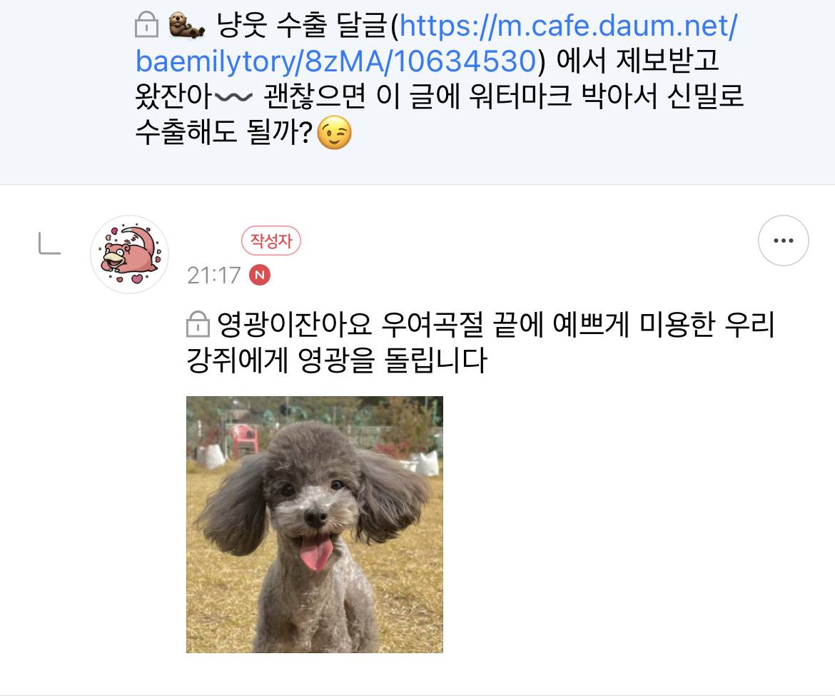아놔 강쥐 미용 동의서 작성해서 보냈는데 실수로 내 생년월일 적어서 미용실에서 전화왓어 | 인스티즈